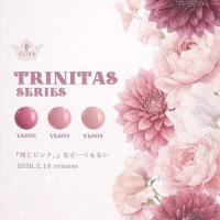 ベトロ ウナ VL602A