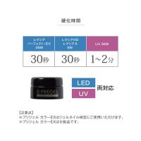 PG-CE1020 プリジェルカラーEX バイオレットフィズ限