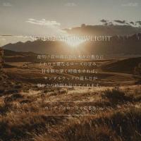 ARTiS di Voce ネイルオイル 5ml ロールオン 3312