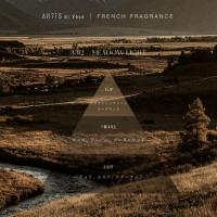 ARTiS di Voce ハンドウォッシュ 220ml 3312