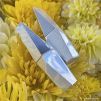 TOYsXINITY パーティF 運気上昇SV T-PF44