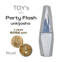 TOYsXINTIY パーティF 商売繁盛GD T-PF43