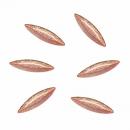 BonnailхRienofuji ディアマン リーフ ブロンズ