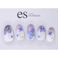 ツメキラ es 紫陽花2 ES-AJI-102