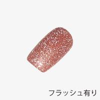ANCLEF ゴールドフラッシュ 8g 001GF