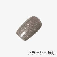 ANCLEF ゴールドフラッシュ 8g 004GF