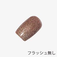 ANCLEF ゴールドフラッシュ 8g 005GF