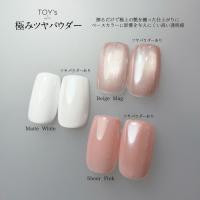 TOYsXINITY 極みツヤパウダー 0.5g