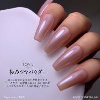 TOYsXINITY 極みツヤパウダー 0.5g
