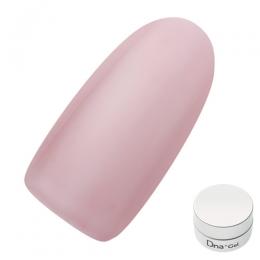 Dna Gel カラージェル 2.5g N18