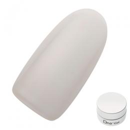 Dna Gel カラージェル 2.5g N13