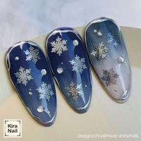 KiraNail 雪の結晶 クリスタルシャワー SV 20P