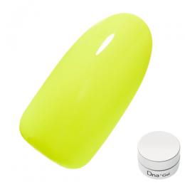 Dna Gel カラージェル 2.5g ネオンイエロー