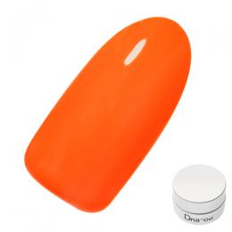 Dna Gel カラージェル 2.5g ネオンオレンジ