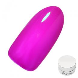 Dna Gel カラージェル 2.5g ネオンパープル