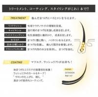 プロラッシュ PHENIX アイサポートジェルBK 6本