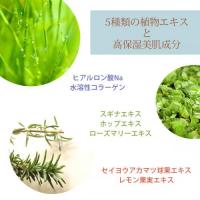 デムジー プラセンタフェイシャルセラム 100ml