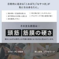MYTREX(マイトレックス) VIDO(ビドー)
