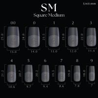 KOKOIST ジェリップ SM スクエアミディアム #4 25P