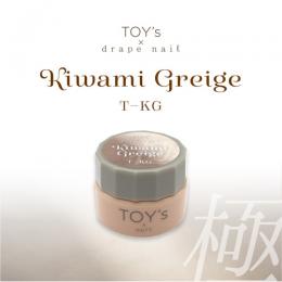 TOYsXINITY 極みグレージュ 5g