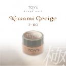 TOYsXINITY 極みグレージュ 5g
