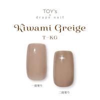 TOYsXINITY 極みグレージュ 5g