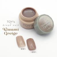 TOYsXINITY 極みグレージュ 5g
