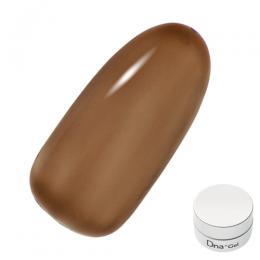 Dna Gel カラージェル 2.5g C16