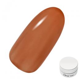 Dna Gel カラージェル 2.5g C17