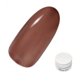 Dna Gel カラージェル 2.5g C18