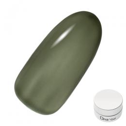 Dna Gel カラージェル 2.5g C19