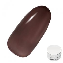 Dna Gel カラージェル 2.5g C20