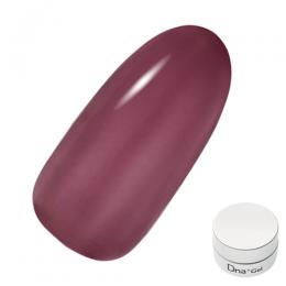 Dna Gel カラージェル 2.5g C21