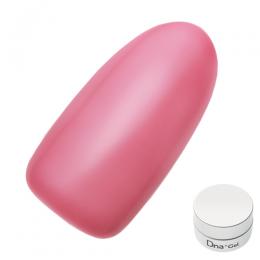 Dna Gel カラージェル 2.5g S04