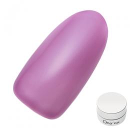 Dna Gel カラージェル 2.5g S05