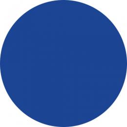 フルーリア カラーパウダー ブルー 4g