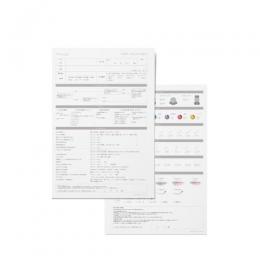 ヒストリック SLLカルテデザインシート(両面)100枚