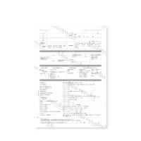 ヒストリック SLLカルテデザインシート(両面)100枚