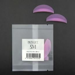 プロラッシュ プロスリフトロッド 5M 2個