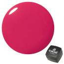 KOKOIST カラージェル 2.5g E-162