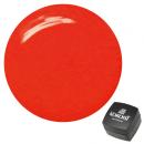 KOKOIST カラージェル 2.5g E-131