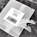 プロラッシュ プロスリフトロッド 13SS 2個