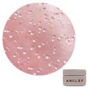 ANCLEF カラージェル 2.7g 001sd