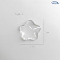 WSPT ガラスディスプレイビーズ/C 50P スター大