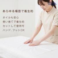 WSPT 使い捨てペーパーシーツ防水50枚入ブルー