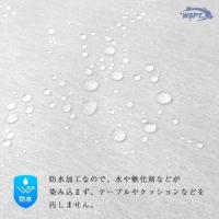 WSPT 使い捨てペーパーシーツ防水50枚入ブルー