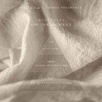 ARTIS di Voce ファブリックスプレー 120g 3308