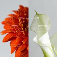 ARTIS di Voce ネイルオイル 5ml ロールオン PAST