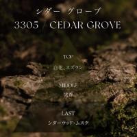ARTIS di Voce HRハンドクリーム 40g 3305