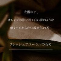 ARTIS di Voce HRハンドクリーム 40g 3301